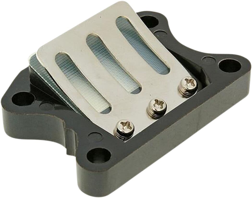 Reed Valve Kit