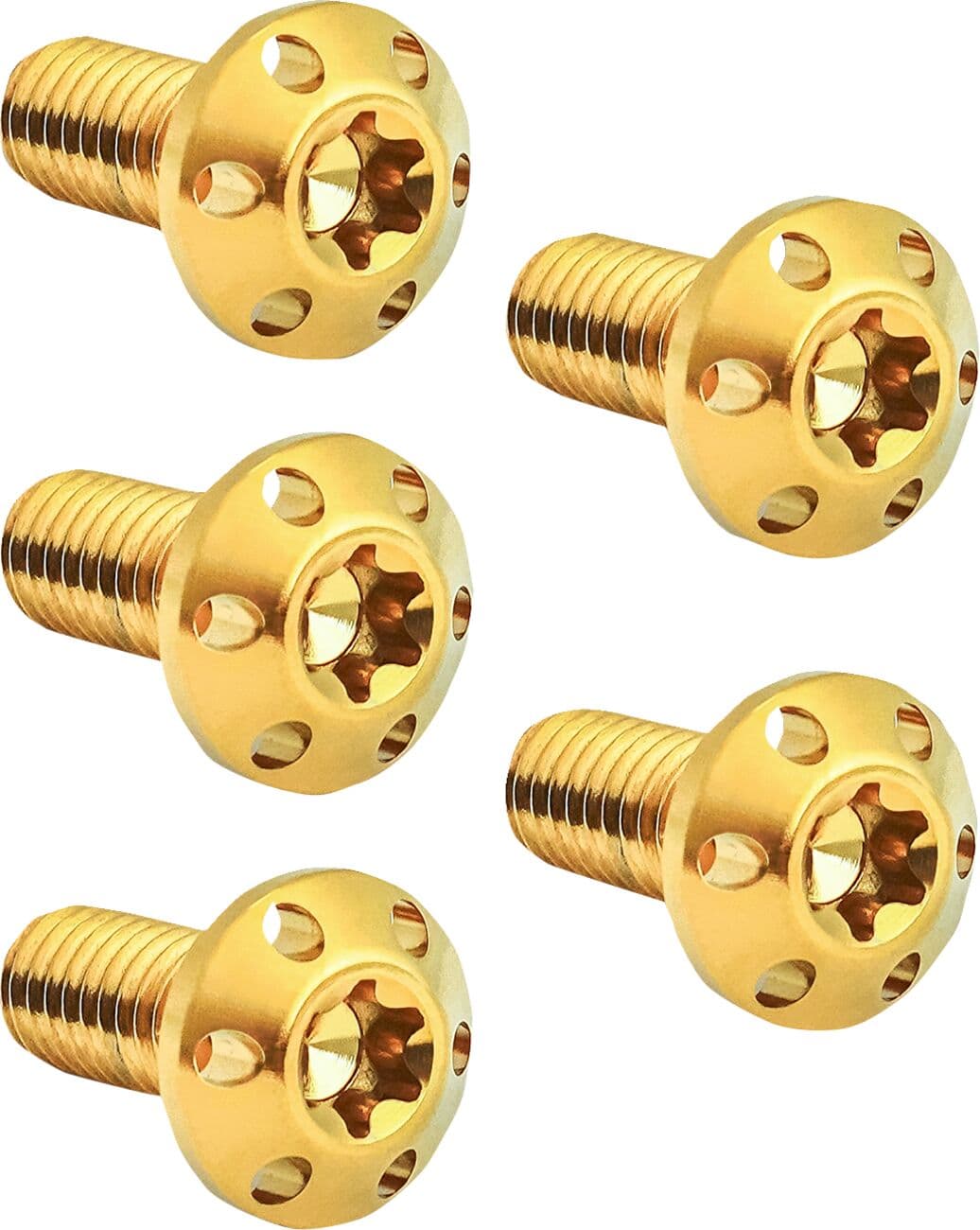 Holeshot Brake Rotor Bolt Kit
