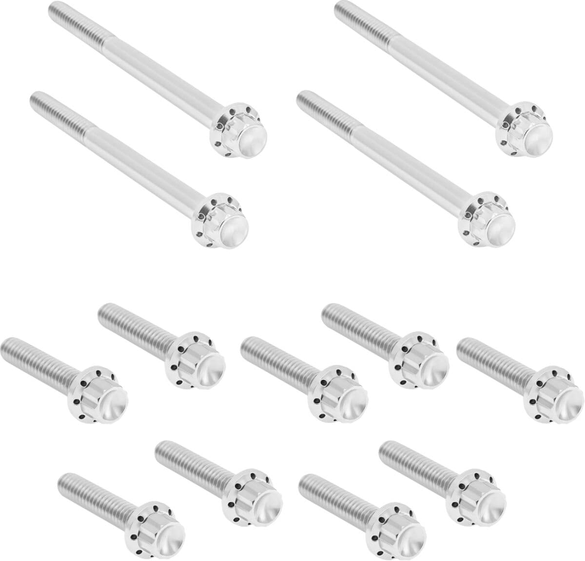 Outer Primary Cover Titanium 12-Point Bolt Kit