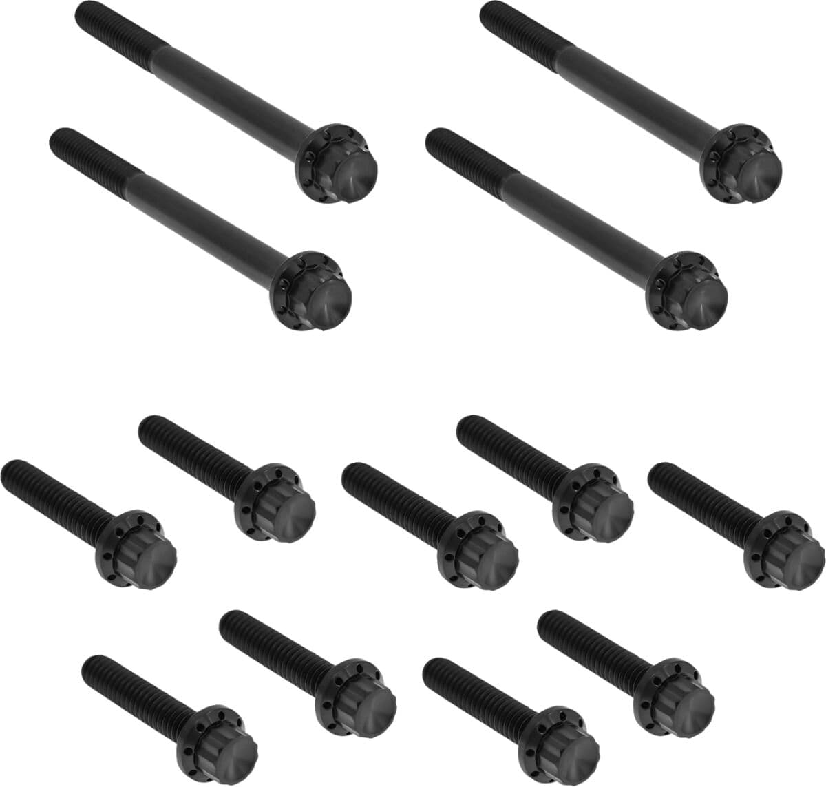 Outer Primary Cover Titanium 12-Point Bolt Kit