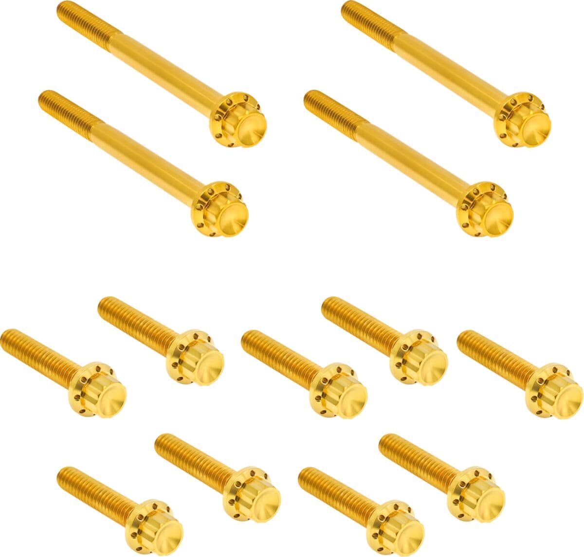 Outer Primary Cover Titanium 12-Point Bolt Kit