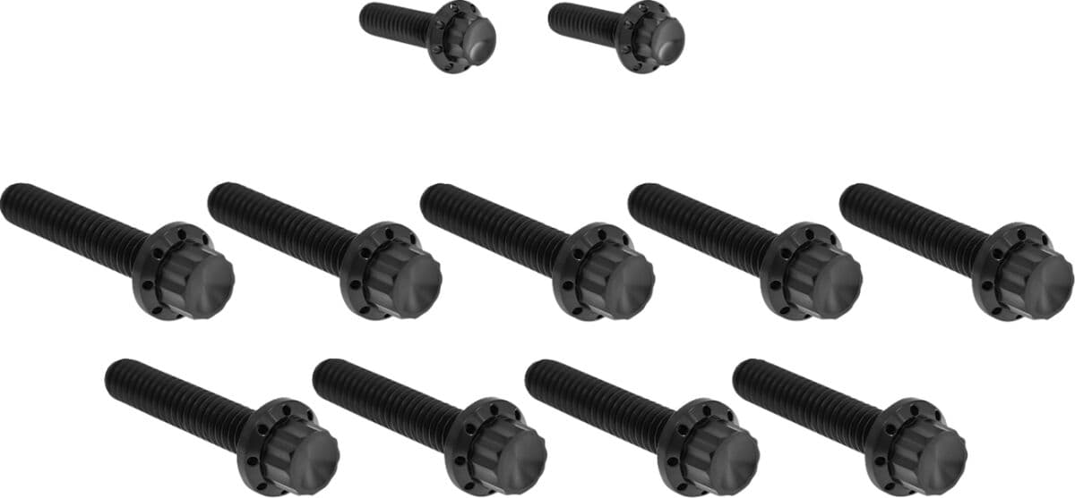 Cam Cover/Point Cover Titanium 12-Point Bolt Kit