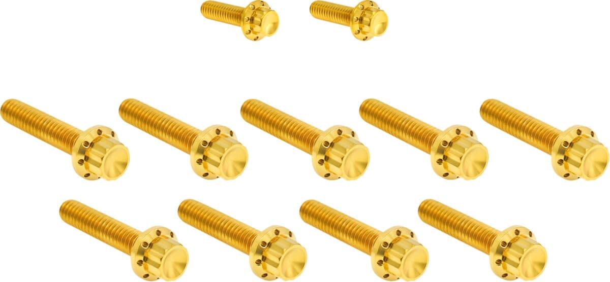 Cam Cover/Point Cover Titanium 12-Point Bolt Kit