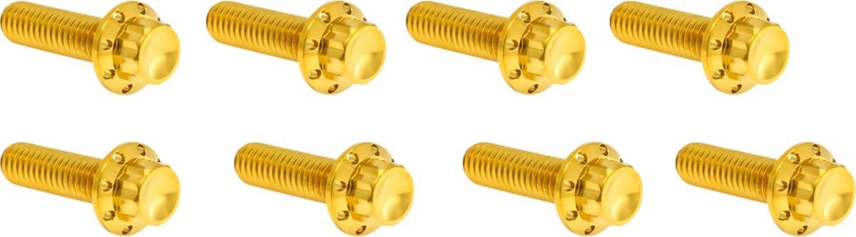 Lifter Block Titanium 12-Point Bolt Kit