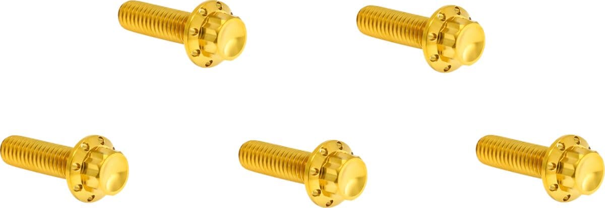 Derby Cover 12-Point Titanium Bolt Kit