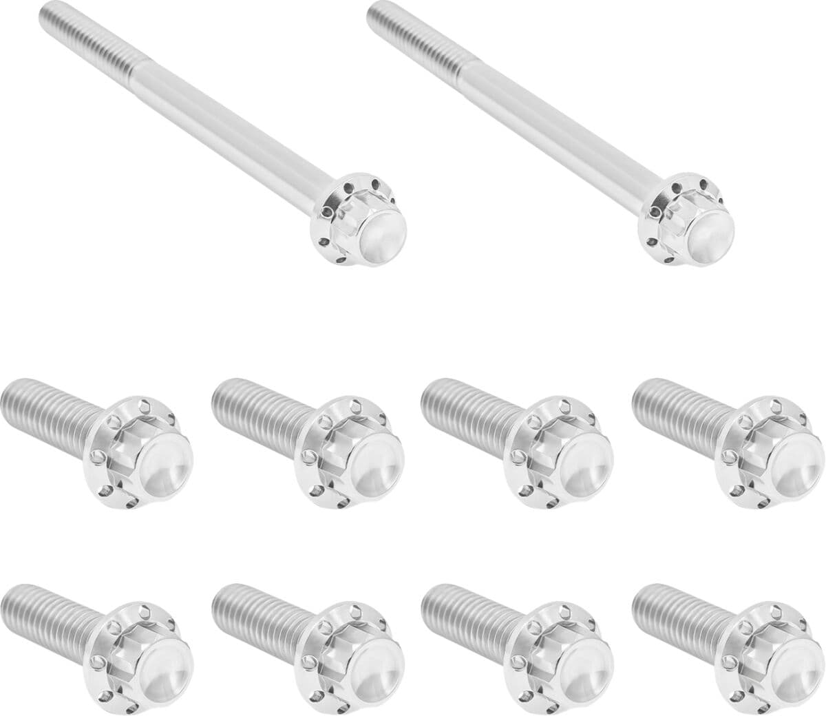Transmission Side Cover & Trap Door Titanium 12-Point Bolt Kit