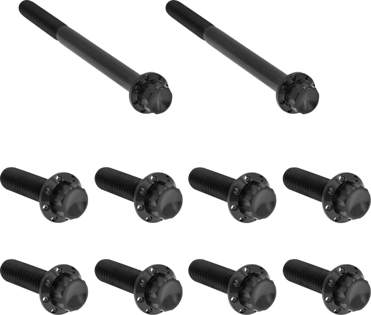 Transmission Side Cover & Trap Door Titanium 12-Point Bolt Kit
