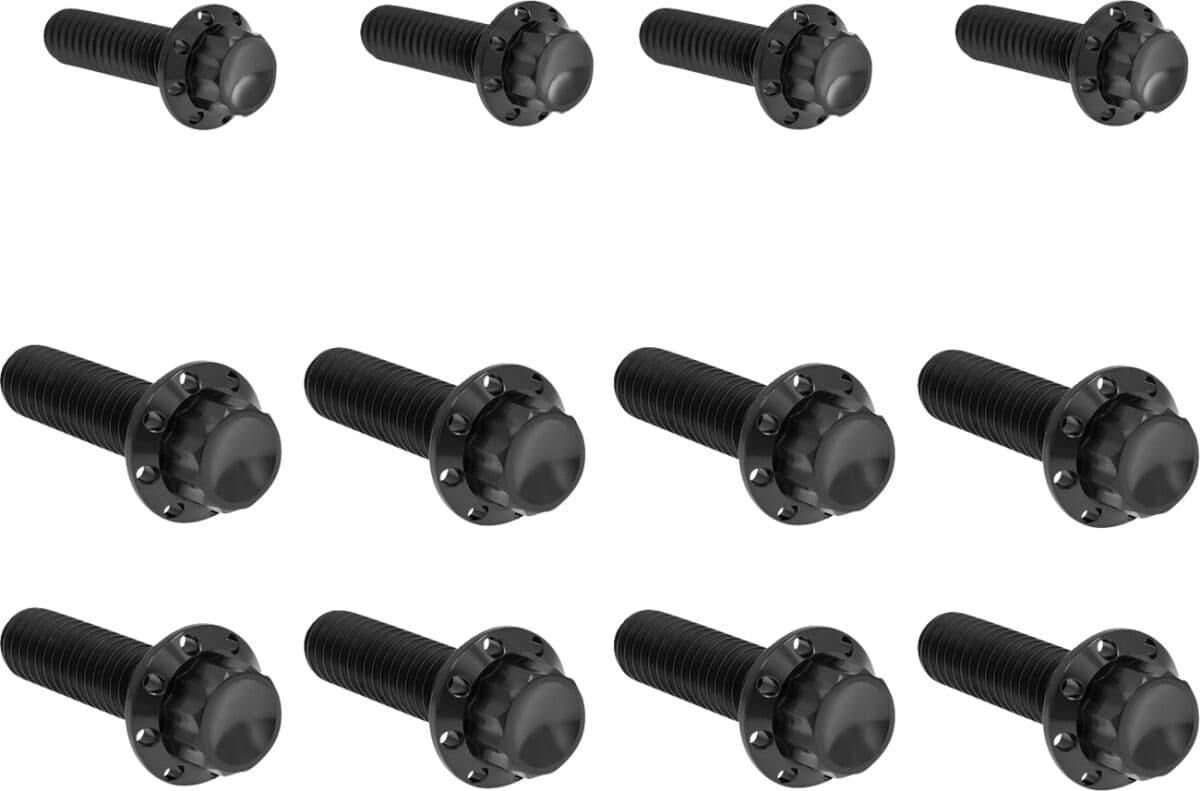 Transmission Side Cover & Trap Door Titanium 12-Point Bolt Kit