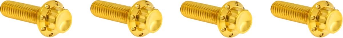 Transmission Top Cover Titanium 12-Point Bolt Kit