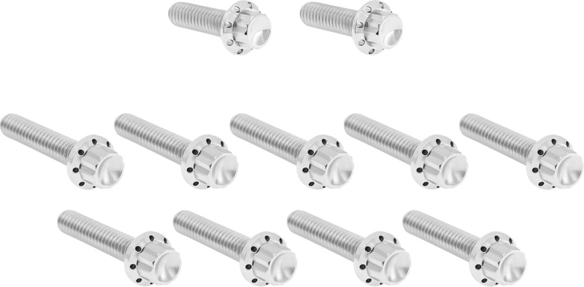 Cam Cover/Point Cover Titanium 12-Point Bolt Kit
