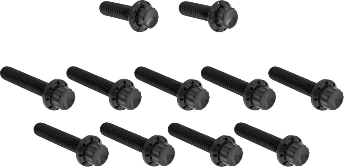 Cam Cover/Point Cover Titanium 12-Point Bolt Kit