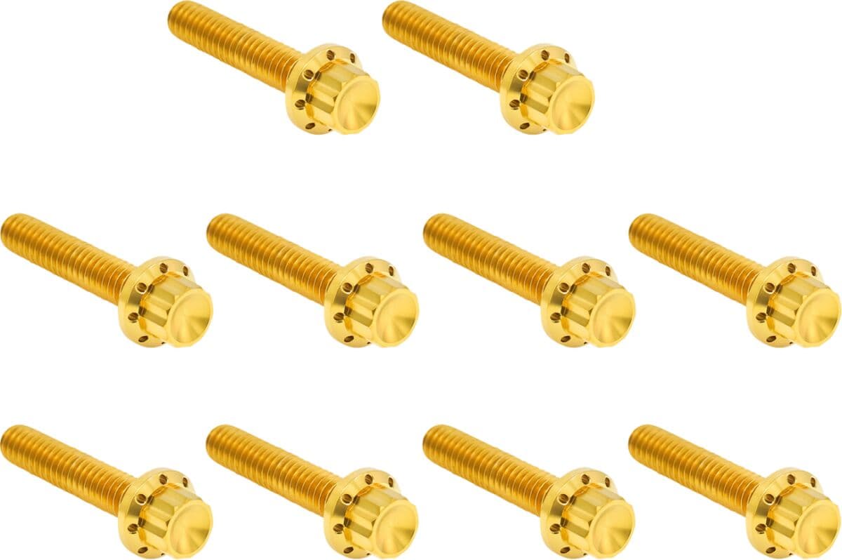 Cam Cover/Point Cover Titanium 12-Point Bolt Kit