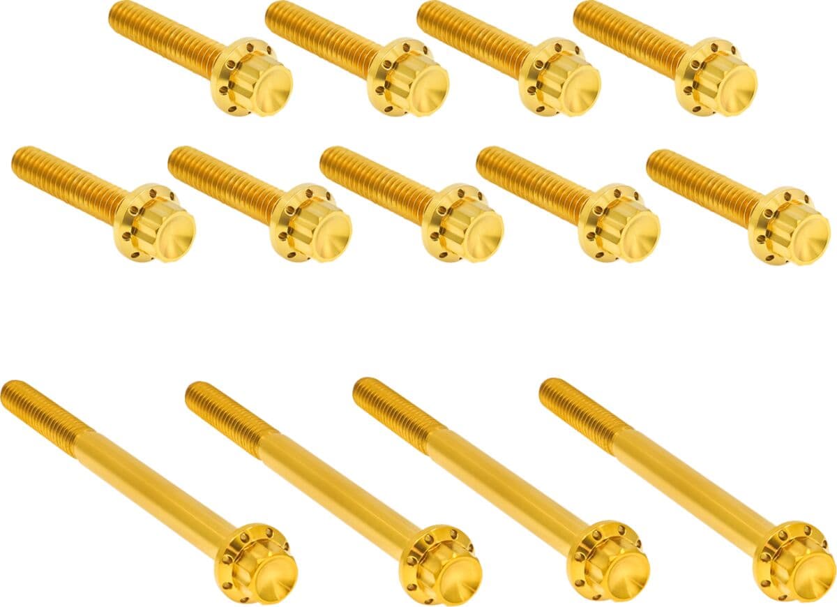 Outer Primary Cover Titanium 12-Point Bolt Kit