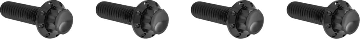 Transmission Top Cover Titanium 12-Point Bolt Kit