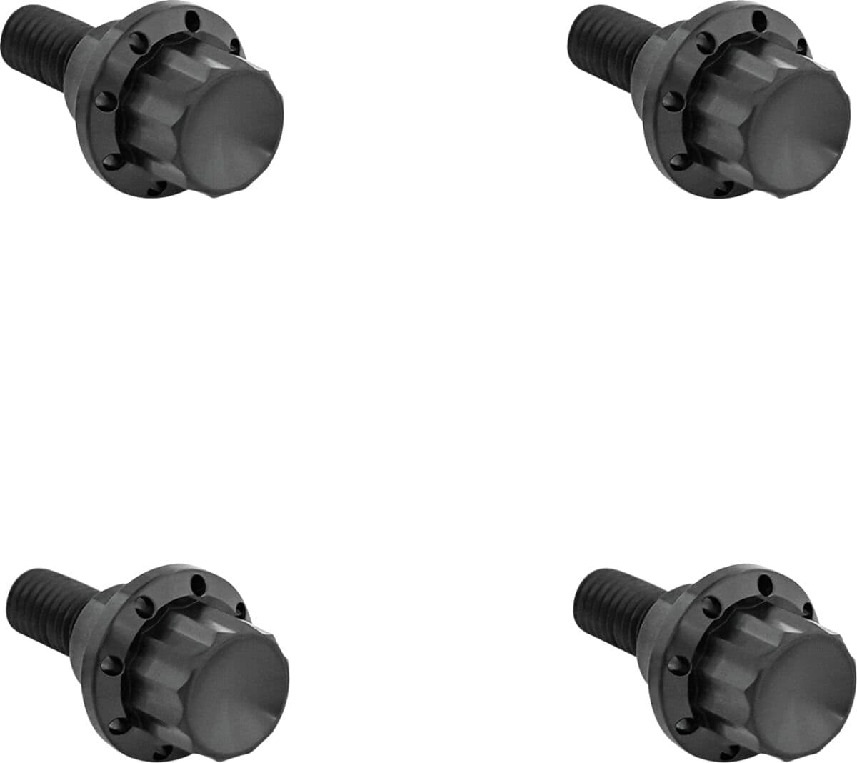 Windshield Titanium 12-Point Bolt Kit