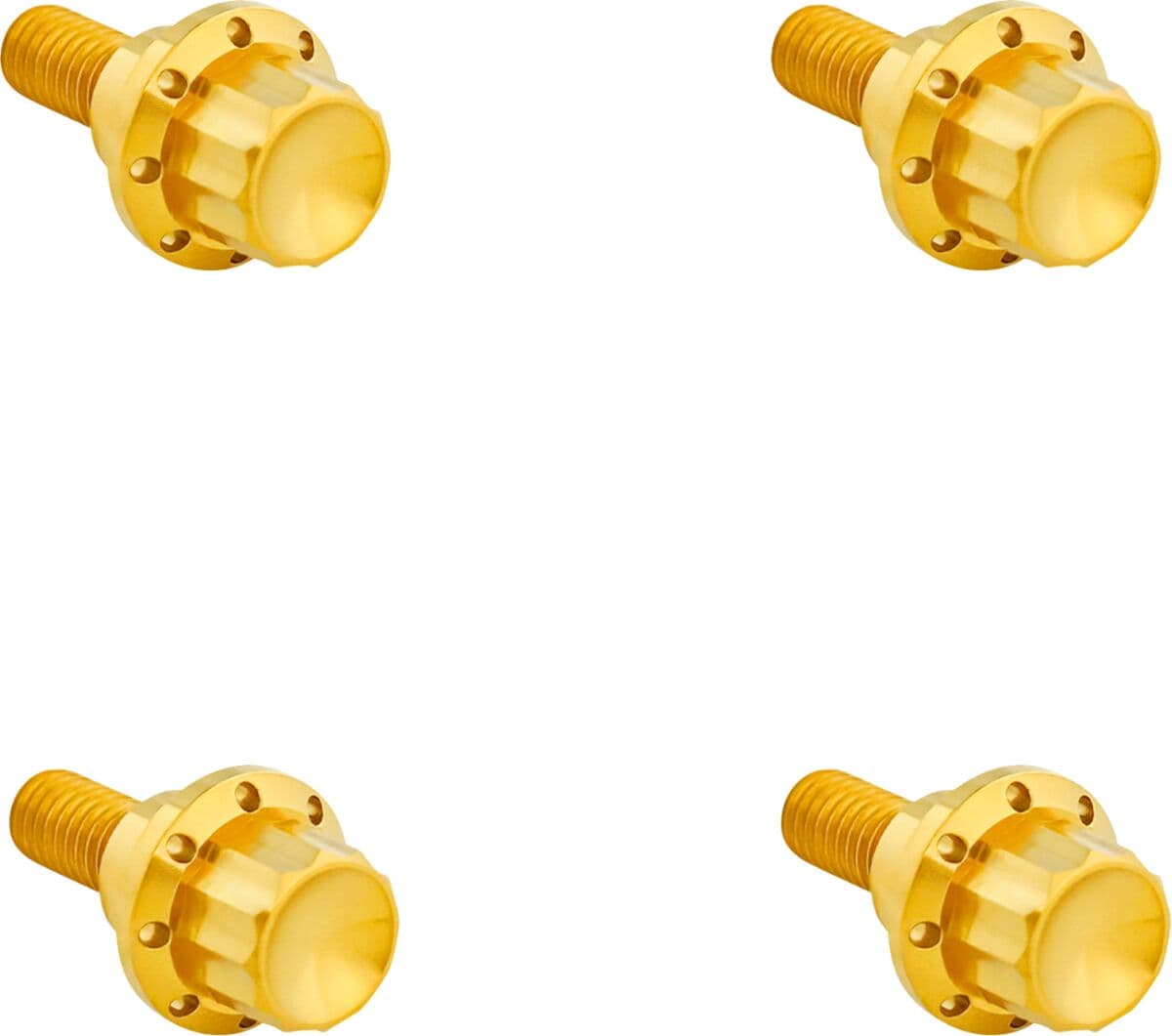 Windshield Titanium 12-Point Bolt Kit