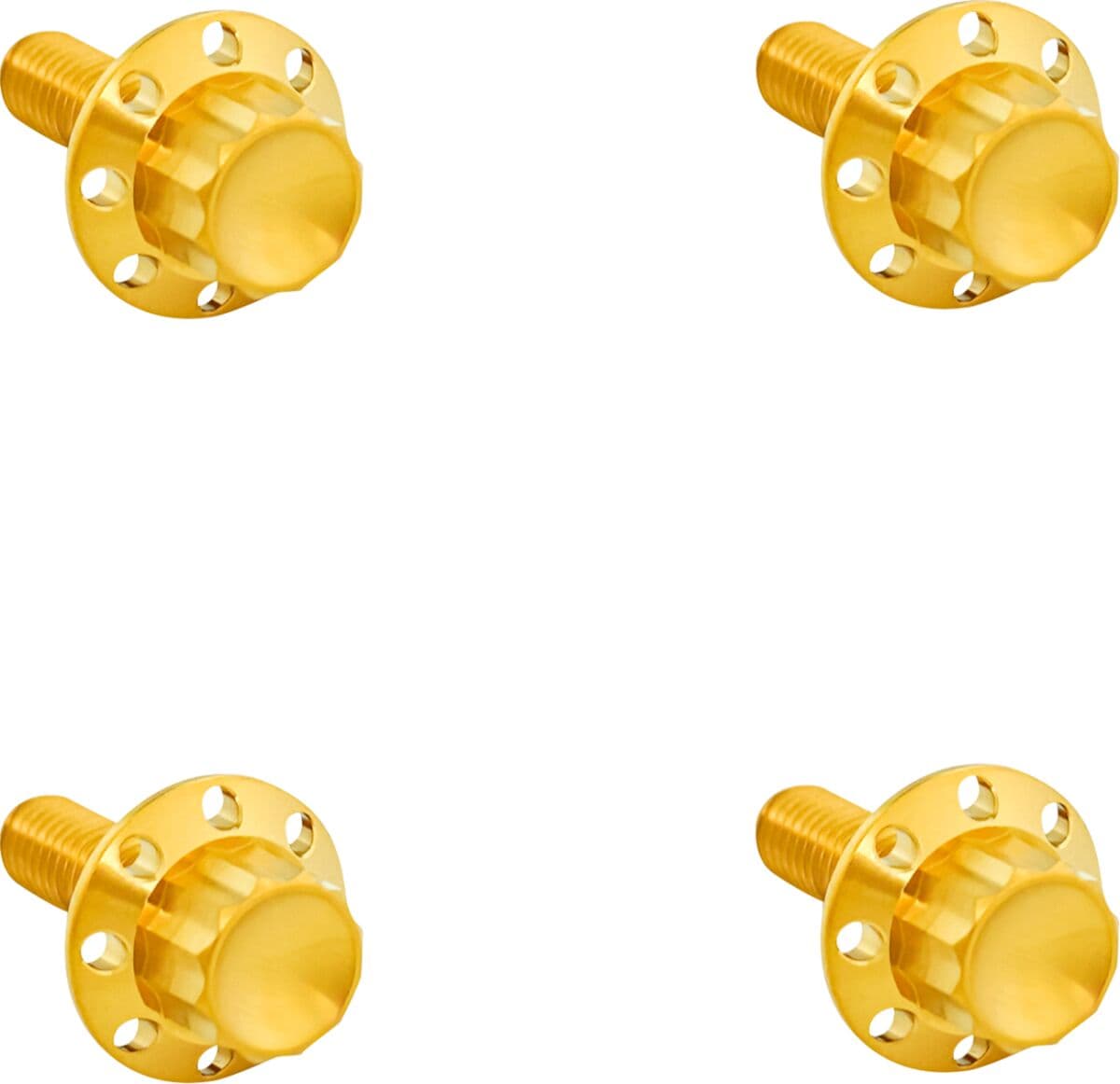 Titanium 12-Point Windshield Bolts