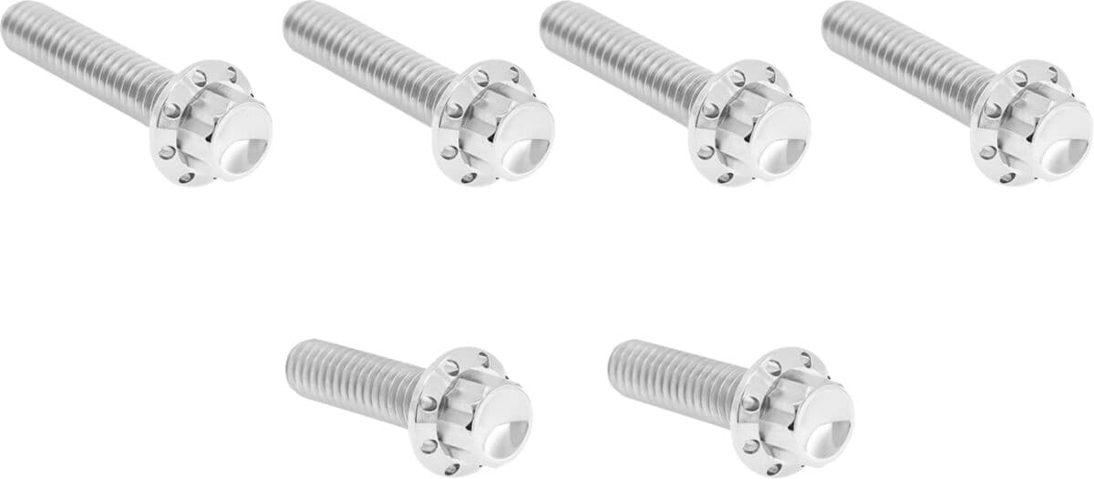 Transmission Side Cover Titanium 12-Point Bolt Kit