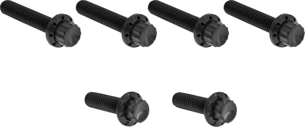 Transmission Side Cover Titanium 12-Point Bolt Kit