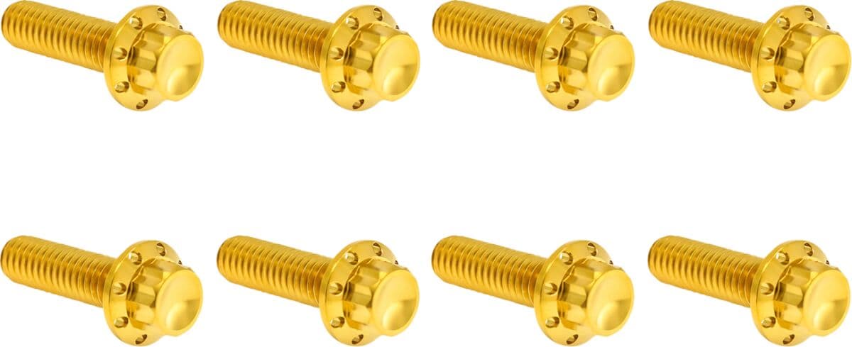 Transmission Trap Door Titanium 12-Point Bolt Kit