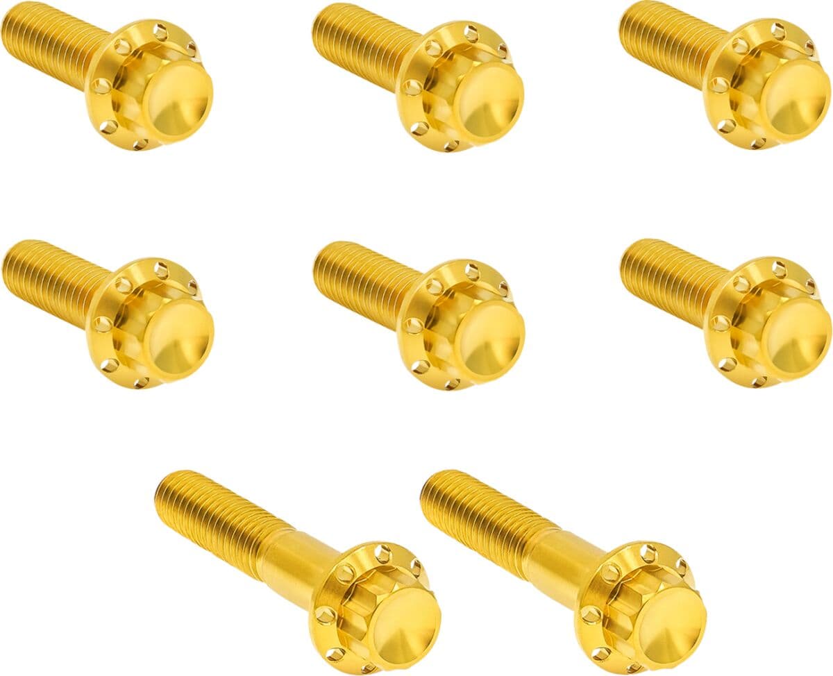 Transmission Trap Door Titanium 12-Point Bolt Kit