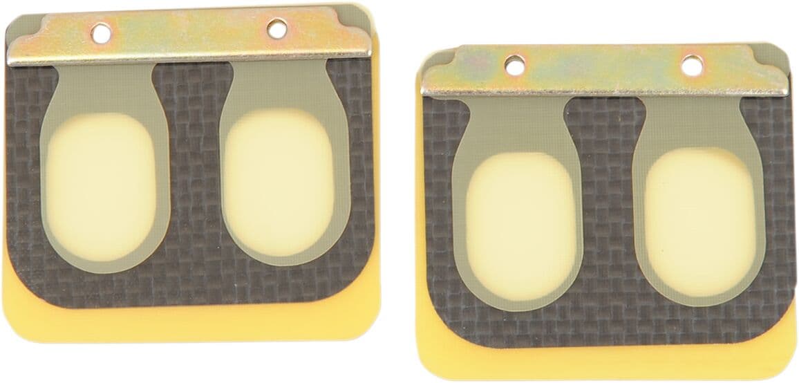 Replacement Pro Series Reed Set for RAD Valve