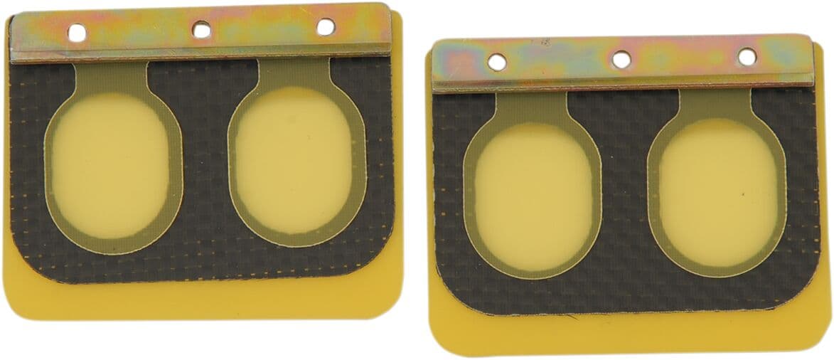 Replacement Pro Series Reed Set for RAD Valve