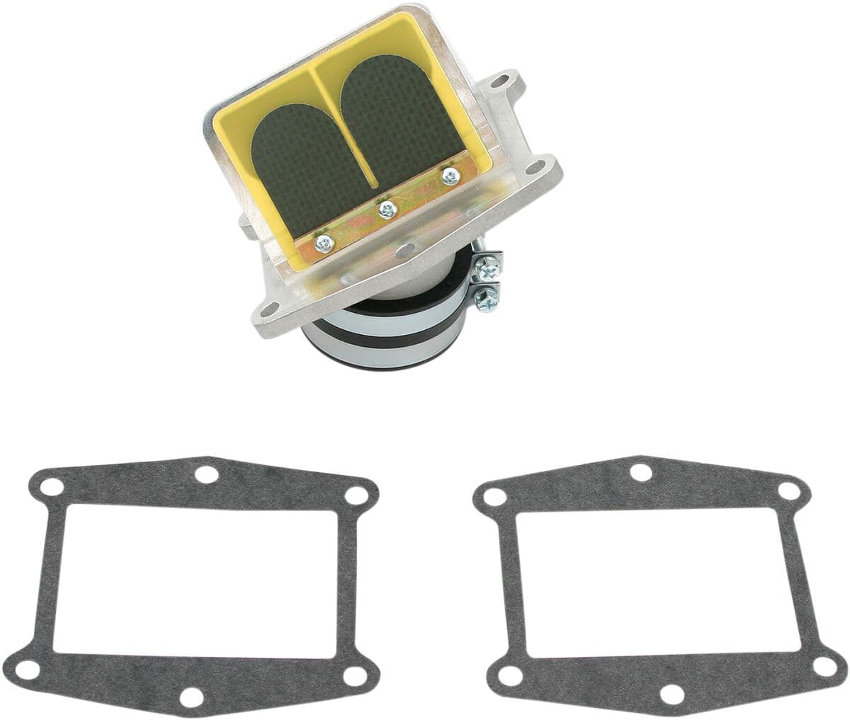 Rad Valve Reed Cage Assembly