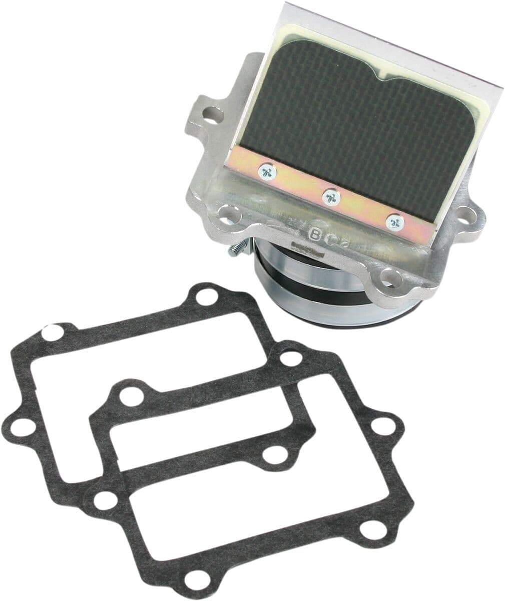 Rad Valve Reed Cage Assembly