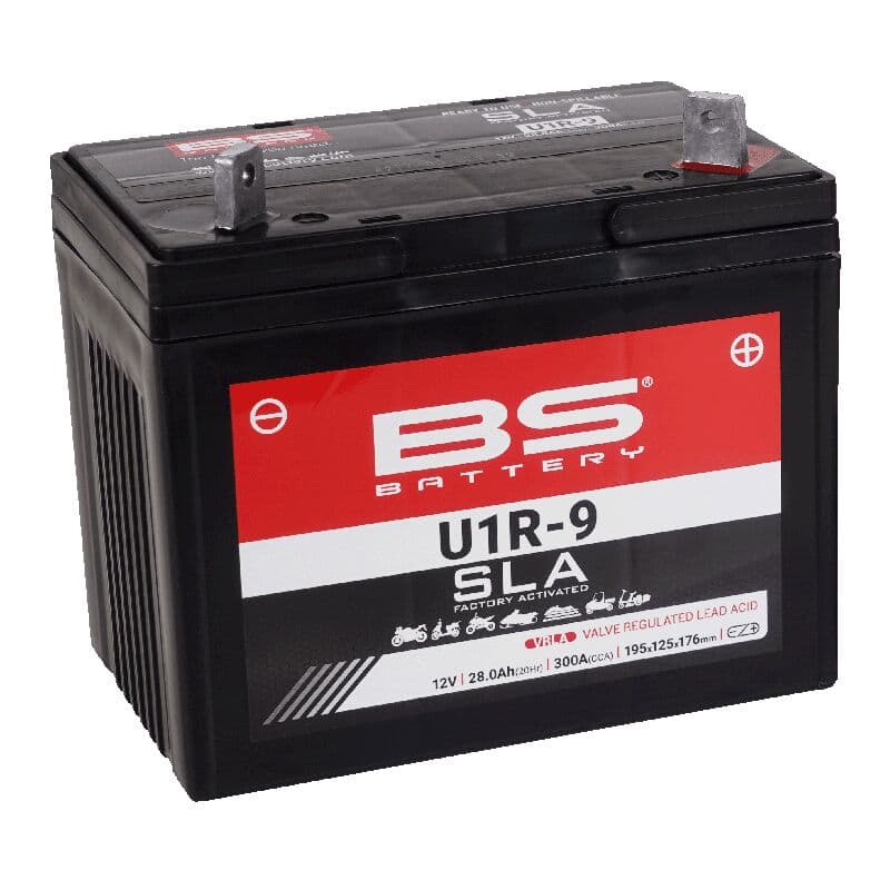 SLA Factory-Activated AGM Maintenance-Free Batteries