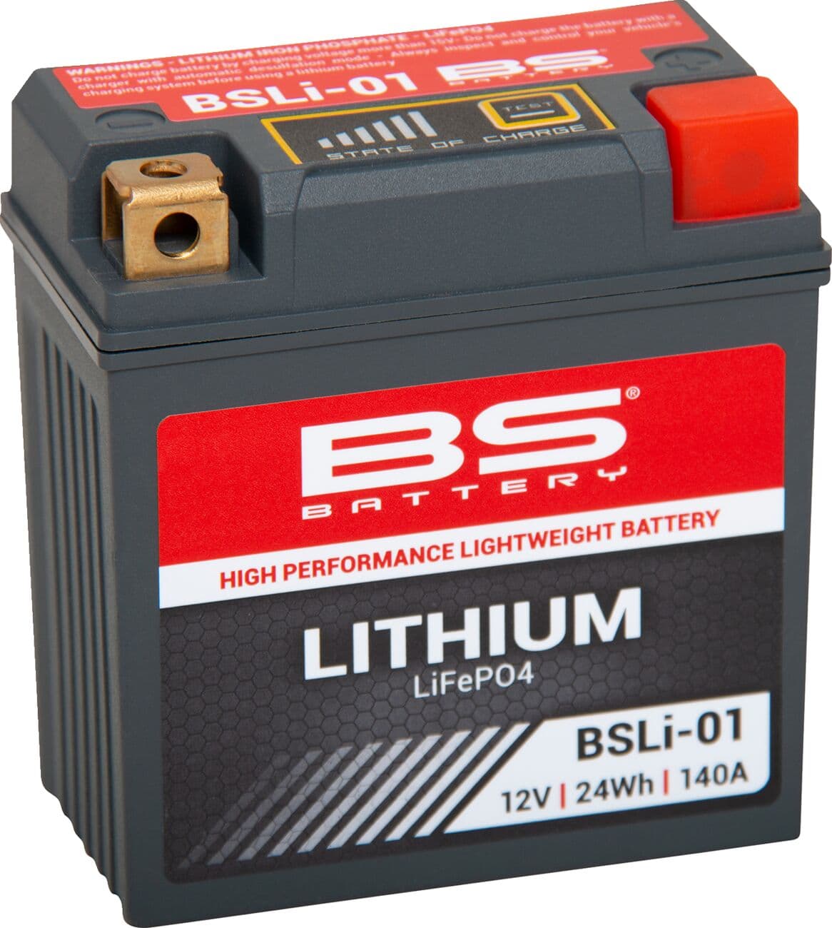 Lithium LiFePO4 Battery