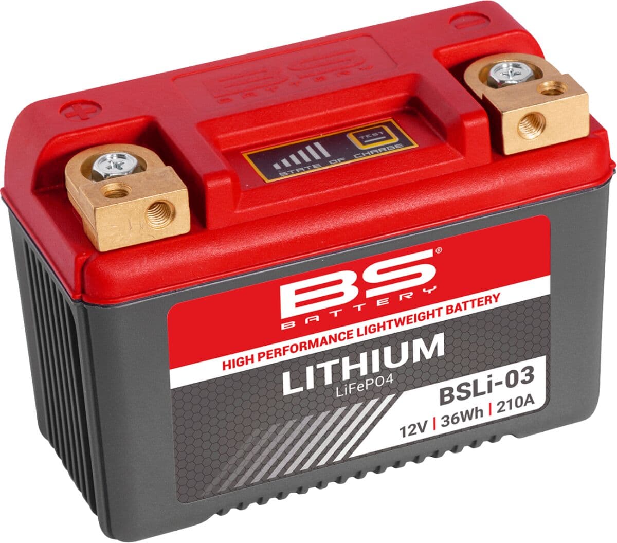 Lithium LiFePO4 Battery