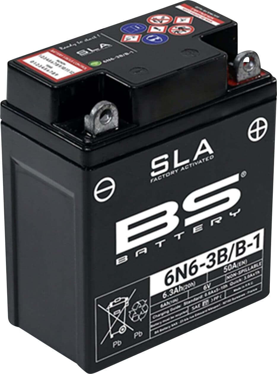 SLA Factory-Activated AGM Maintenance-Free Batteries