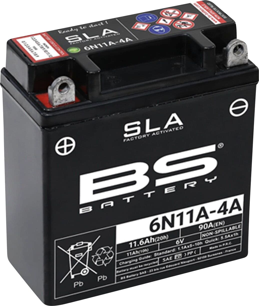SLA Factory-Activated AGM Maintenance-Free Batteries