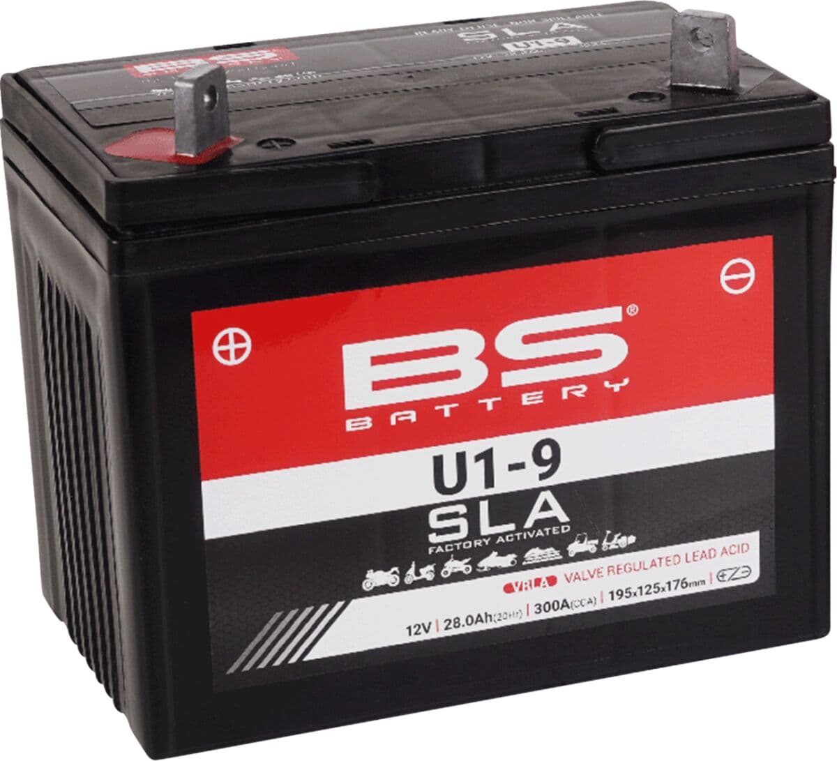 SLA Factory- Activated AGM Maintenance-Free Battery