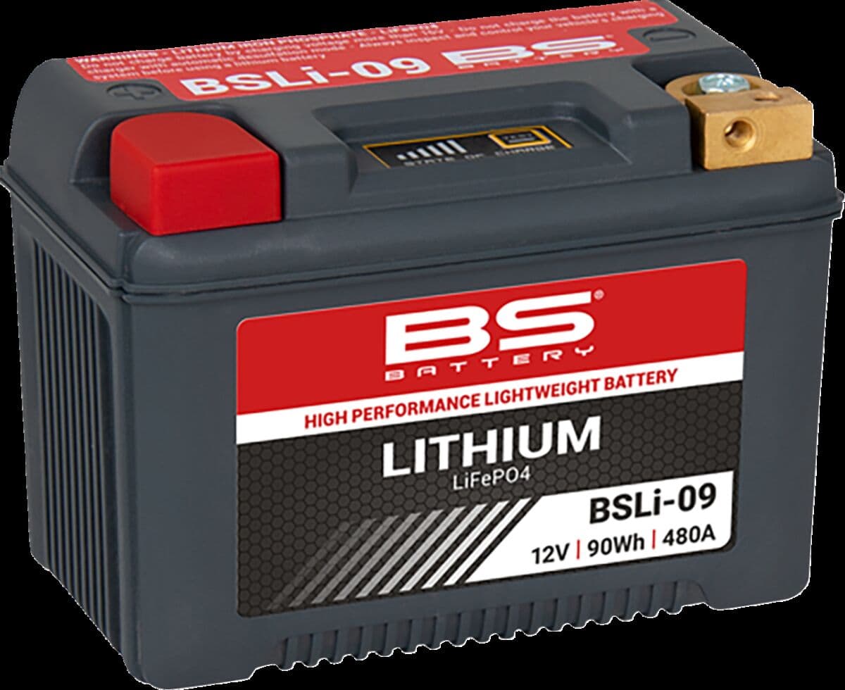 Lithium LiFePO4 Battery