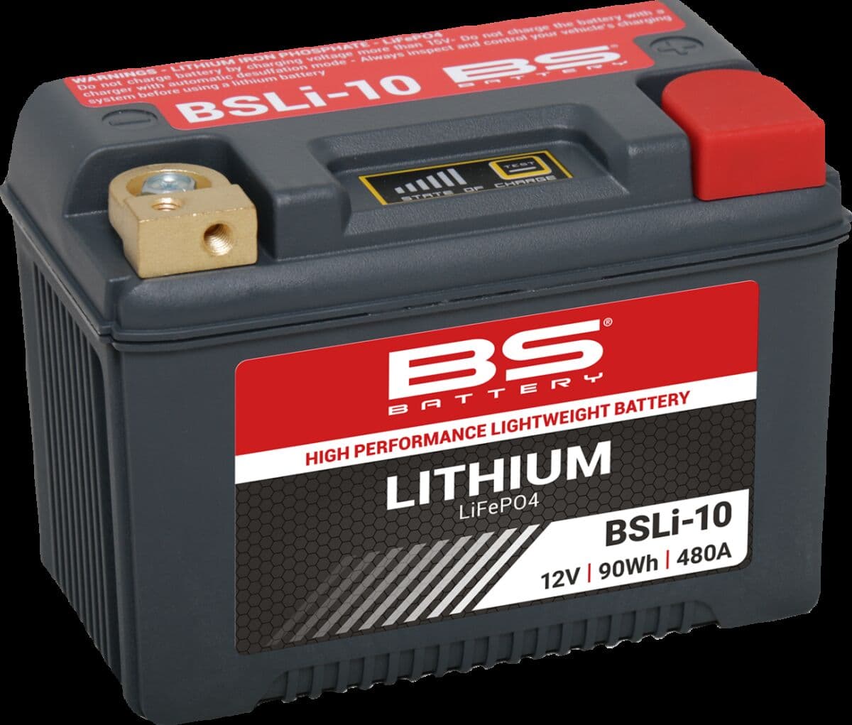 Lithium LiFePO4 Battery