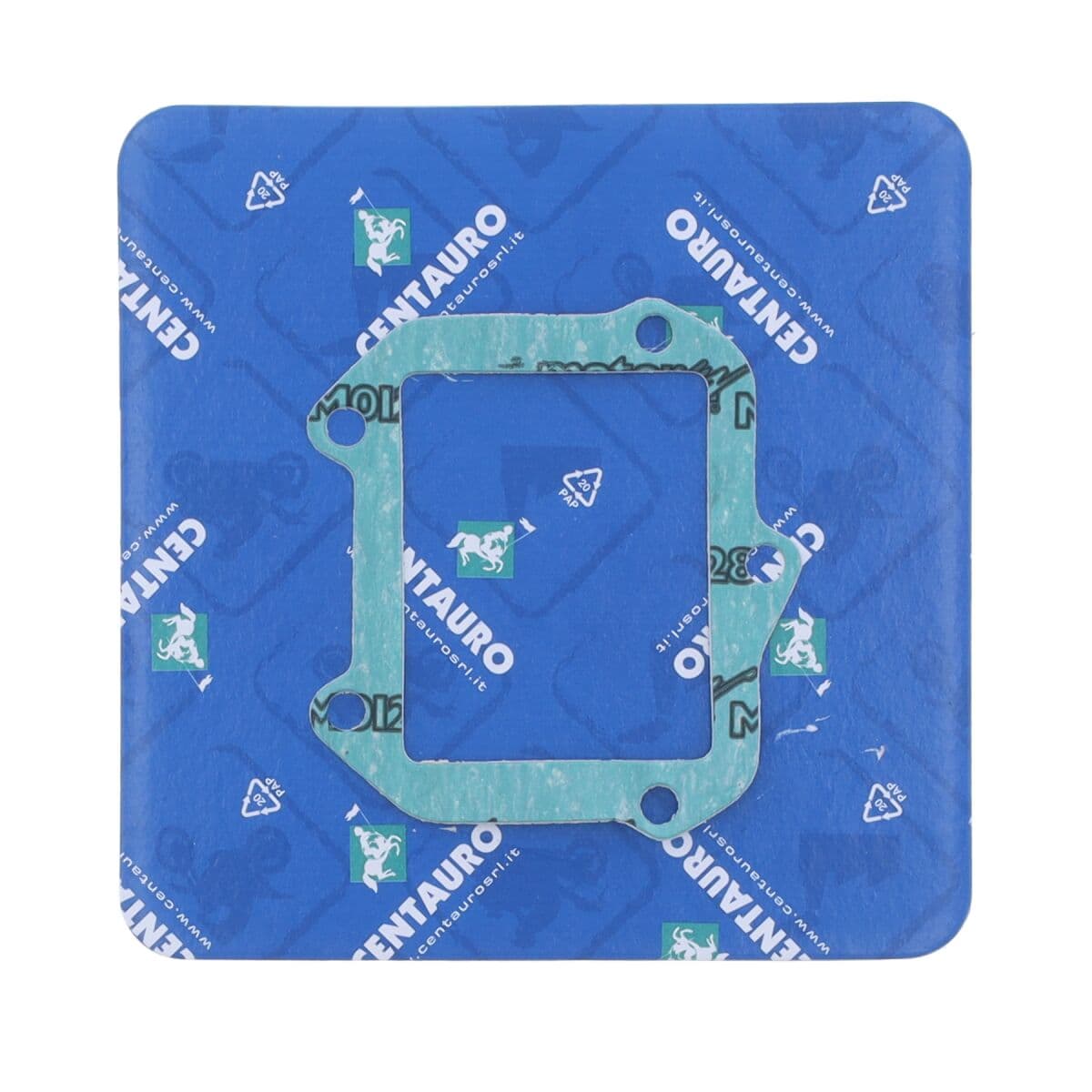 Intake Gasket
