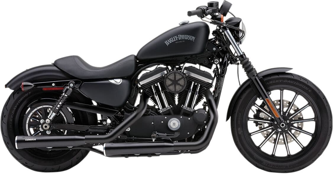 Slip-On Mufflers with Race-Pro Tips