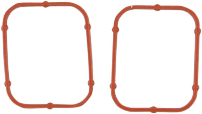 Rocker Gasket
