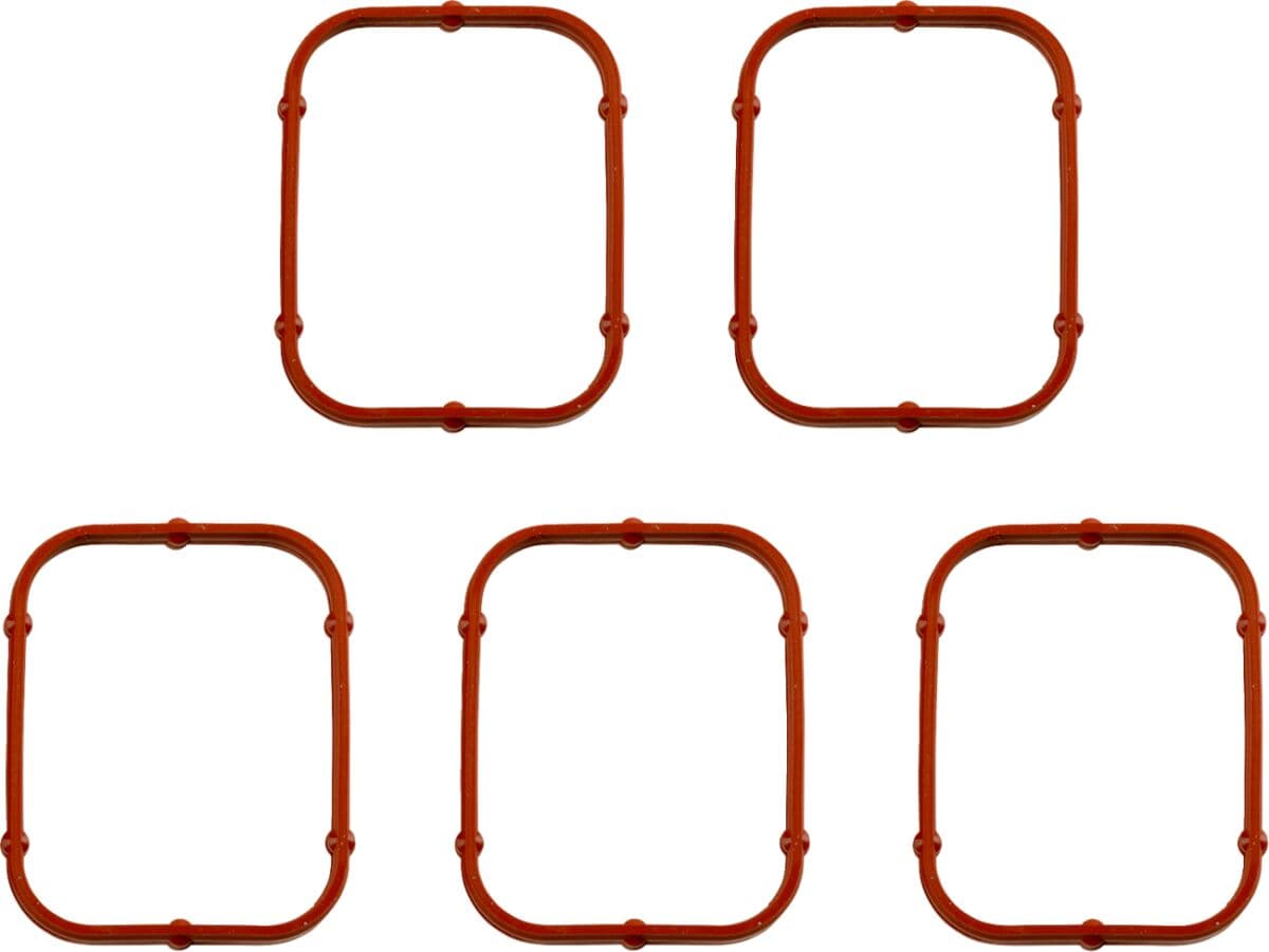 Rocker Gasket