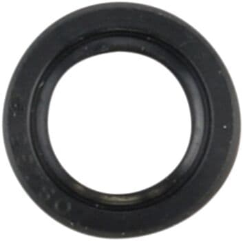 Shaft Seal