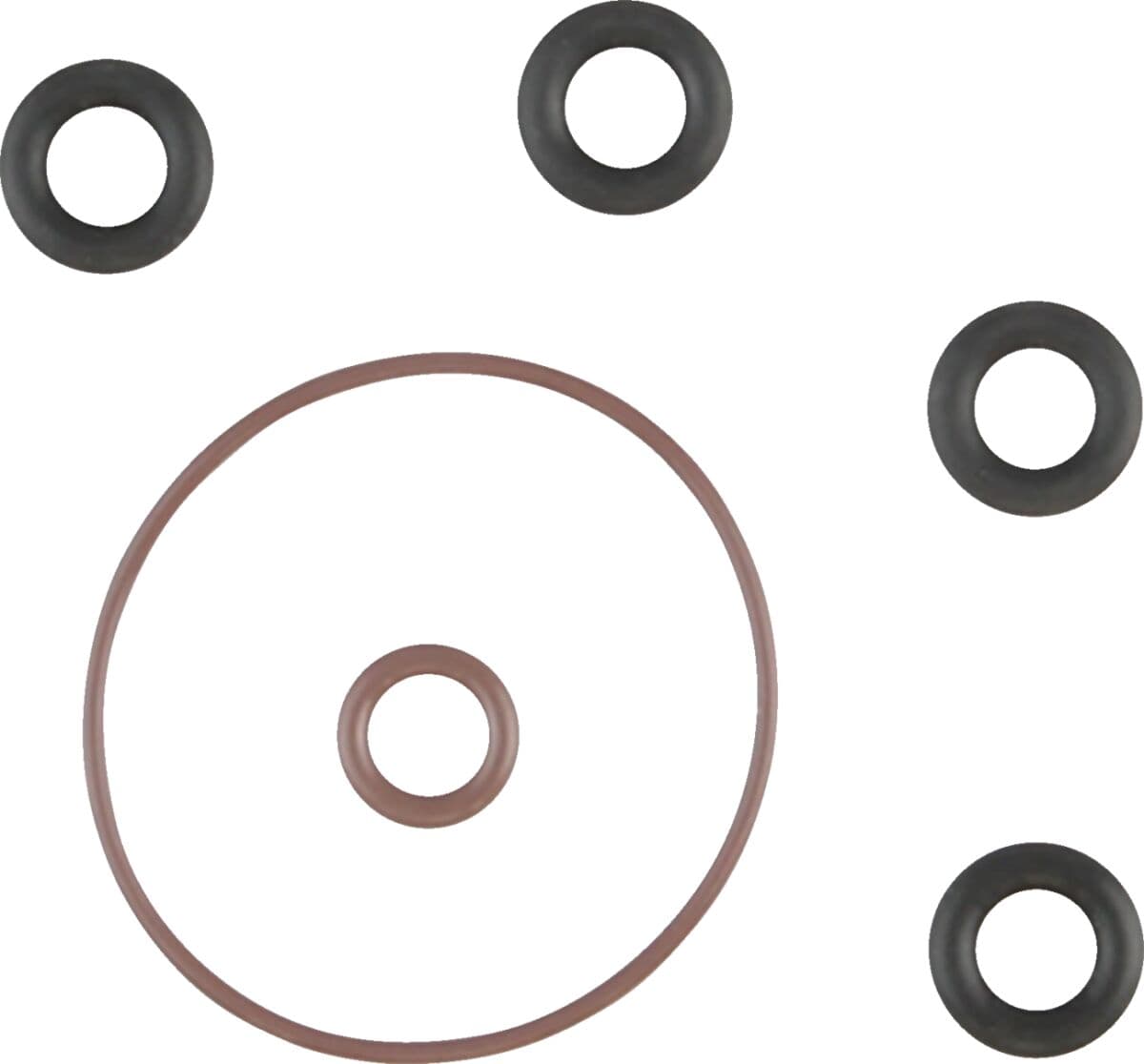 Induction Module O-Ring