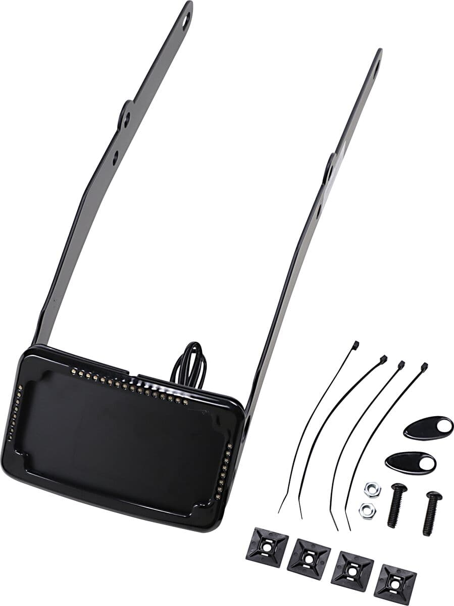Curved License Mount with Frame