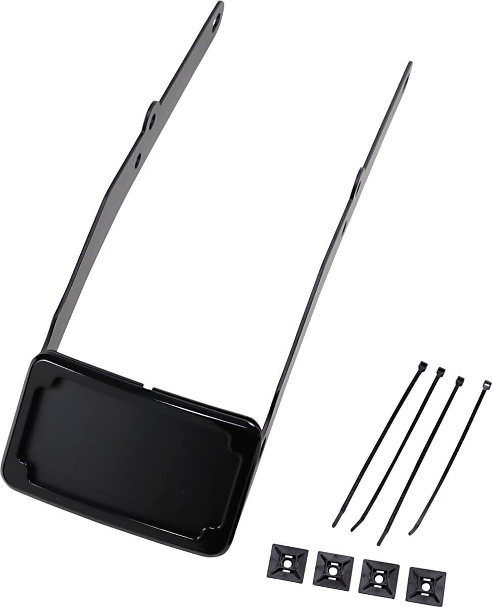 Curved License Mount with Frame