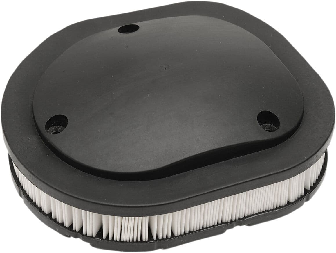 OEM Replacement Air Filter for Indian