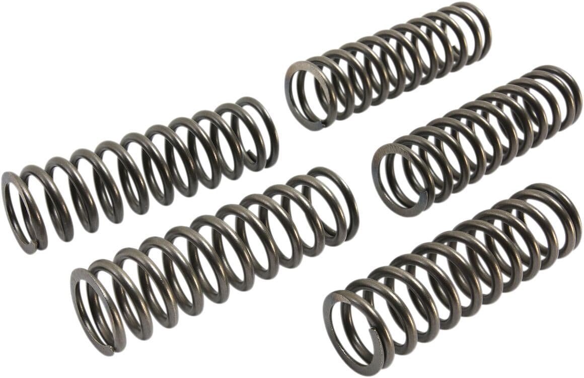 CSK Clutch Spring Set