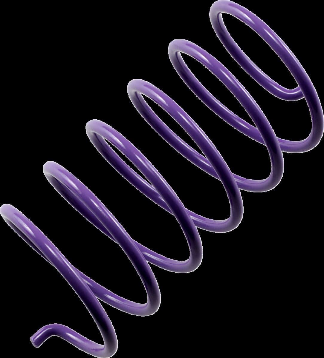 Secondary Clutch Spring