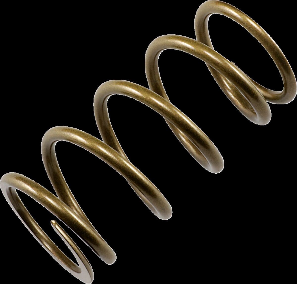 Primary Clutch Spring
