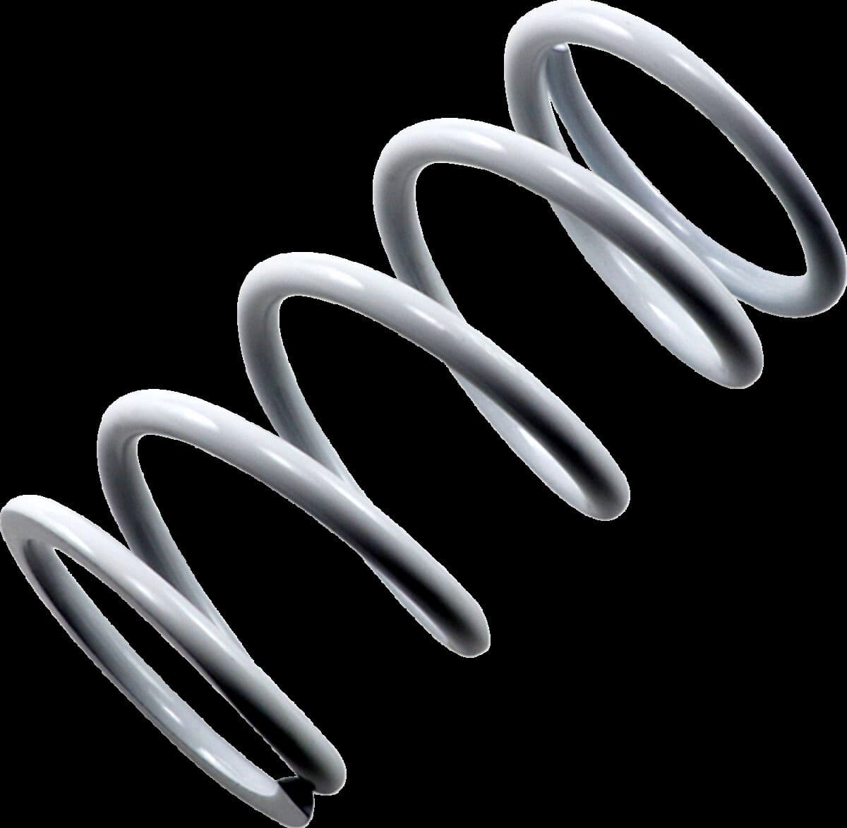 Primary Clutch Spring
